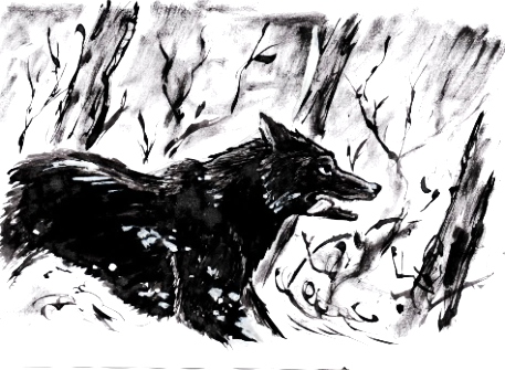 Иллюстрация к «Сказу о Чёрном Дьяволе», А. Хомякова, г. Дальнегорск.