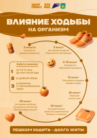 6_Влияние ходьбы на организм